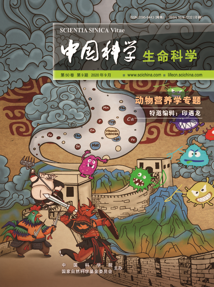 氧化锌|九月封面文章集锦