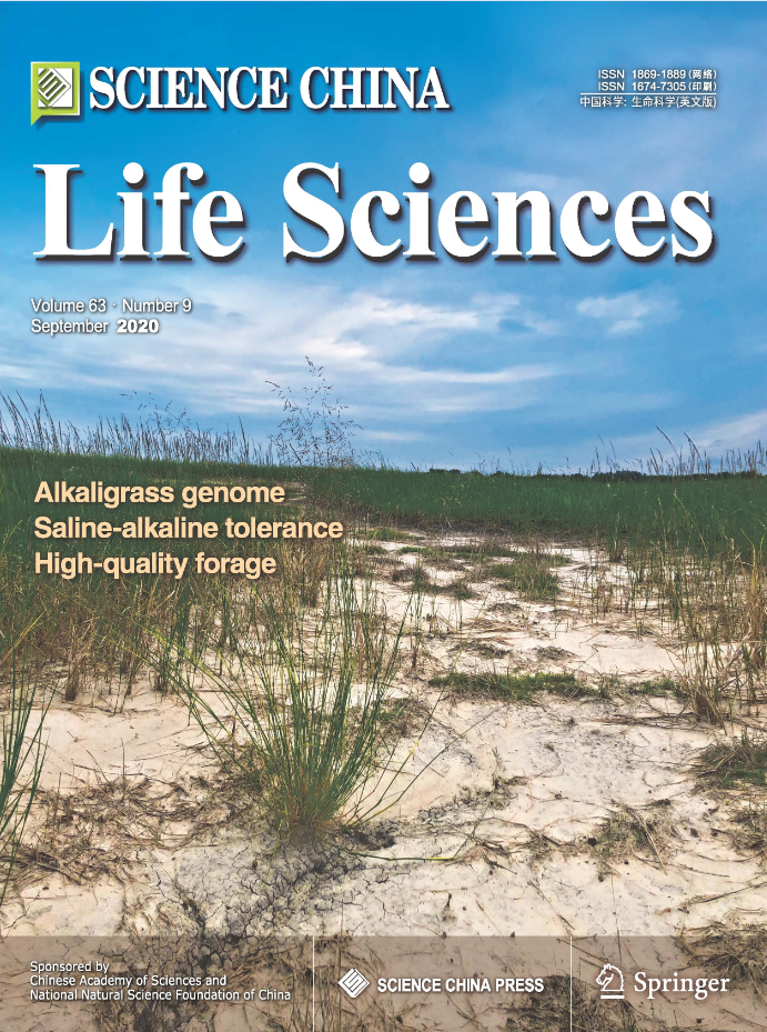 氧化锌|九月封面文章集锦