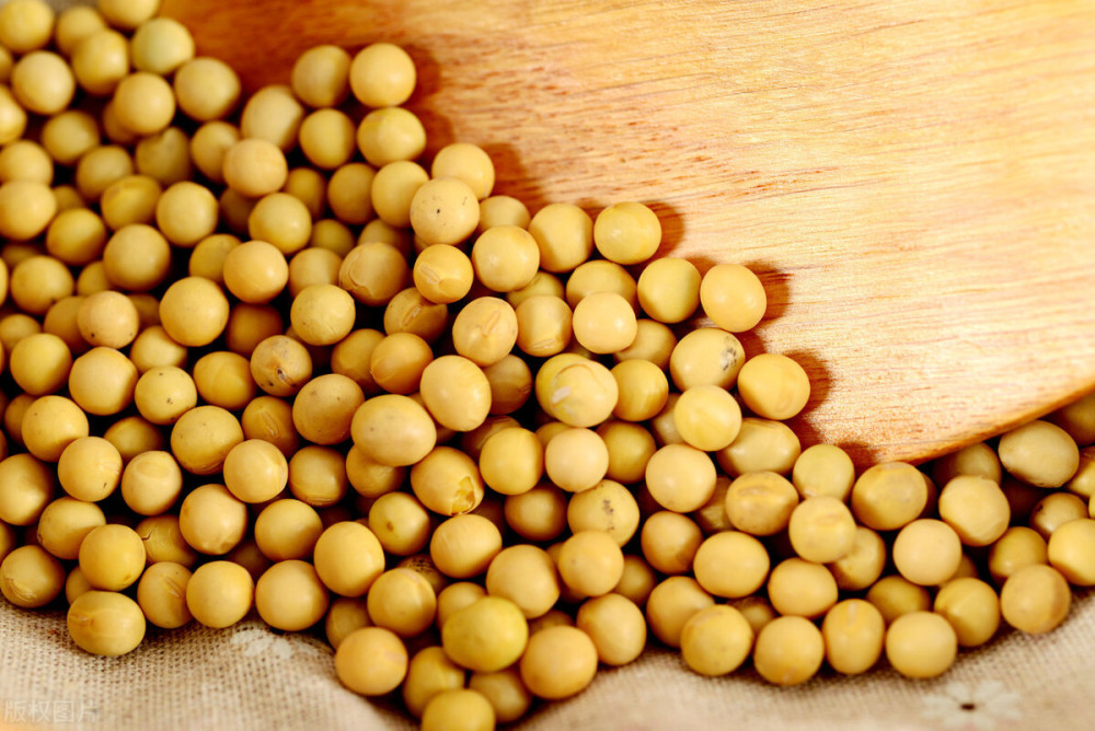 美豆市价上涨 中国只能为此买单