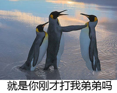 啤酒瓶不仅能做钻石还能做镯子讨女友欢心哈哈哈哈笑喷饭了