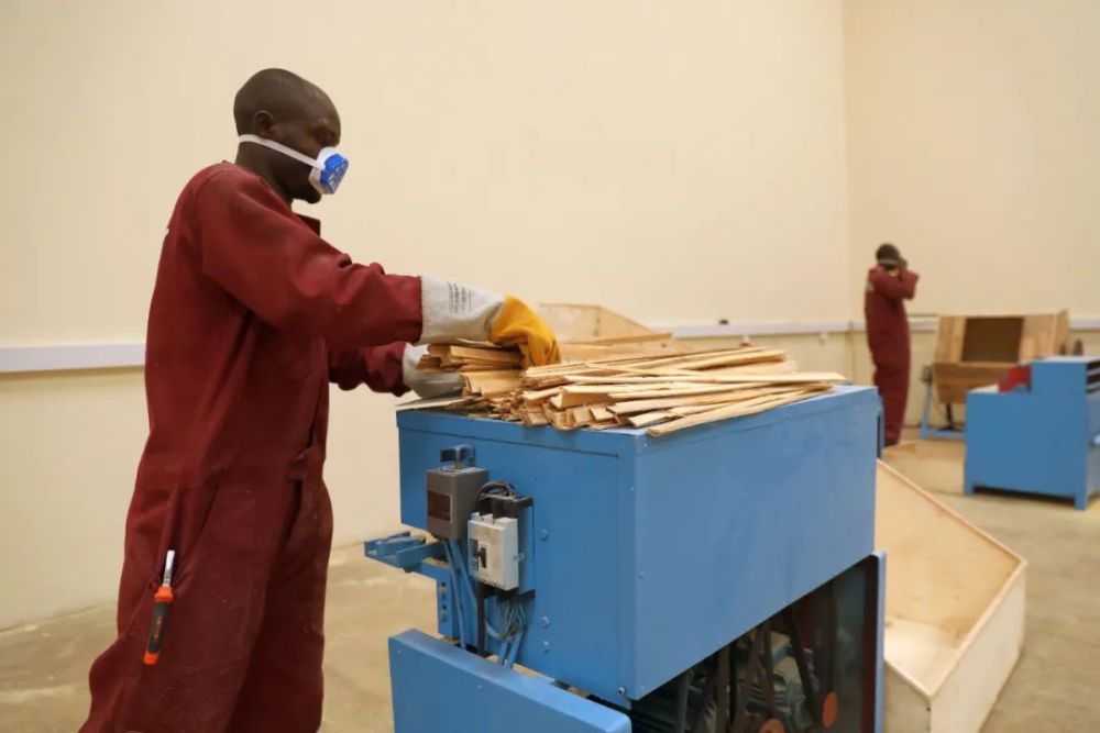 意不意外?竹子在非洲这么"高"