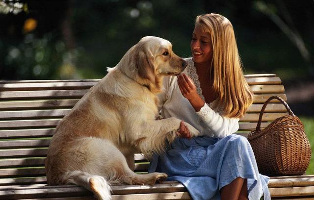 狗狗|养狗的人比不养狗的人，心血管疾病风险降低31％？科学研究给出答案