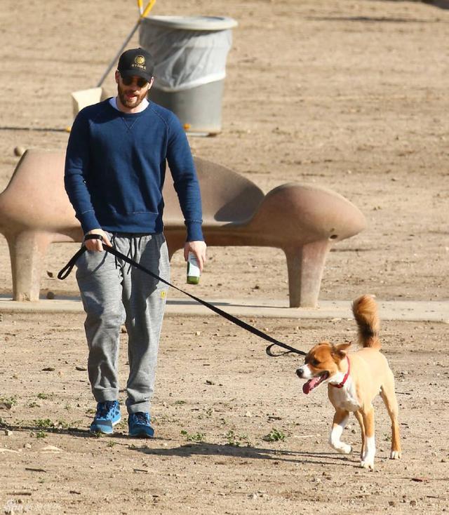 狗狗|养狗的人比不养狗的人，心血管疾病风险降低31％？科学研究给出答案