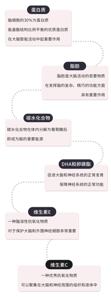 核桃|最佳补脑食物名单，核桃只能“靠边站”！常吃补脑、延缓脑衰老