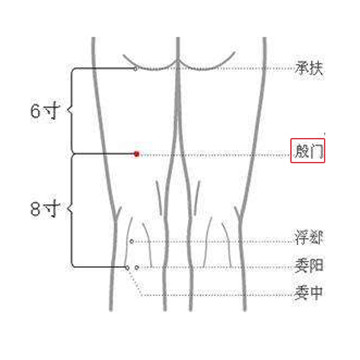 针灸穴名解——膀胱经腧穴 殷门