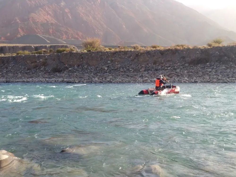 兔狲|啊！看到兔狲了！