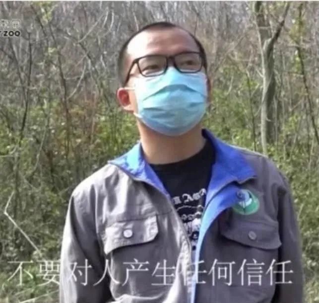 兔狲|啊！看到兔狲了！