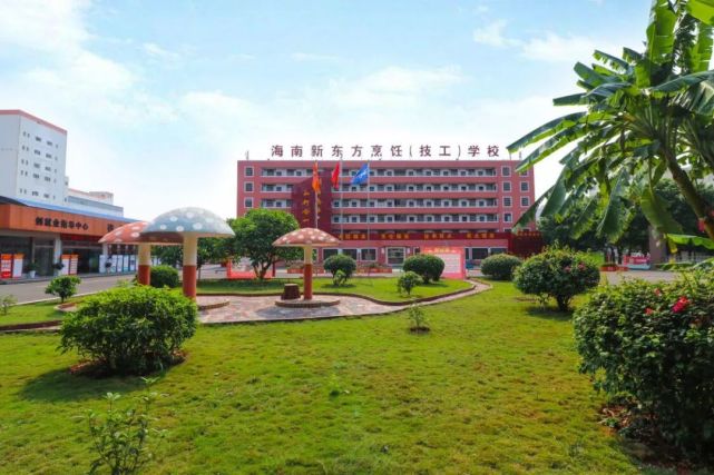 如果想学习幼教专业,欢迎报读海南新东方烹饪技工学校幼儿健康管理