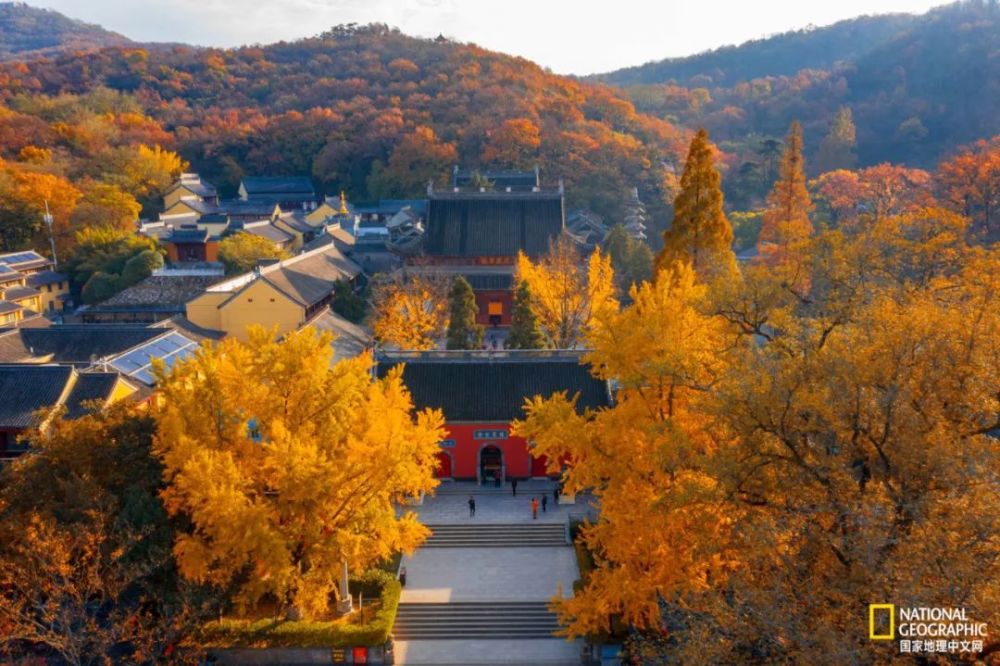 南京|秋天千万别去南京，否则就不想回去了