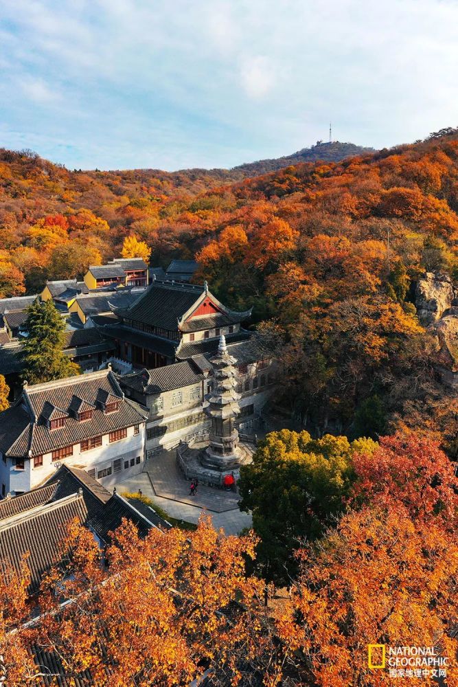 南京|秋天千万别去南京，否则就不想回去了