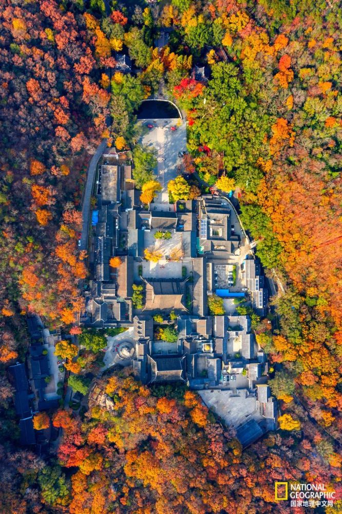 南京|秋天千万别去南京，否则就不想回去了