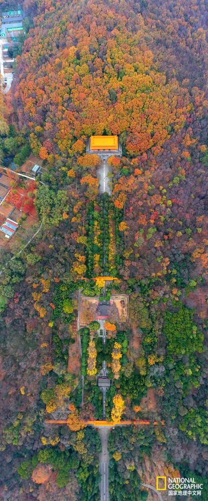 南京|秋天千万别去南京，否则就不想回去了