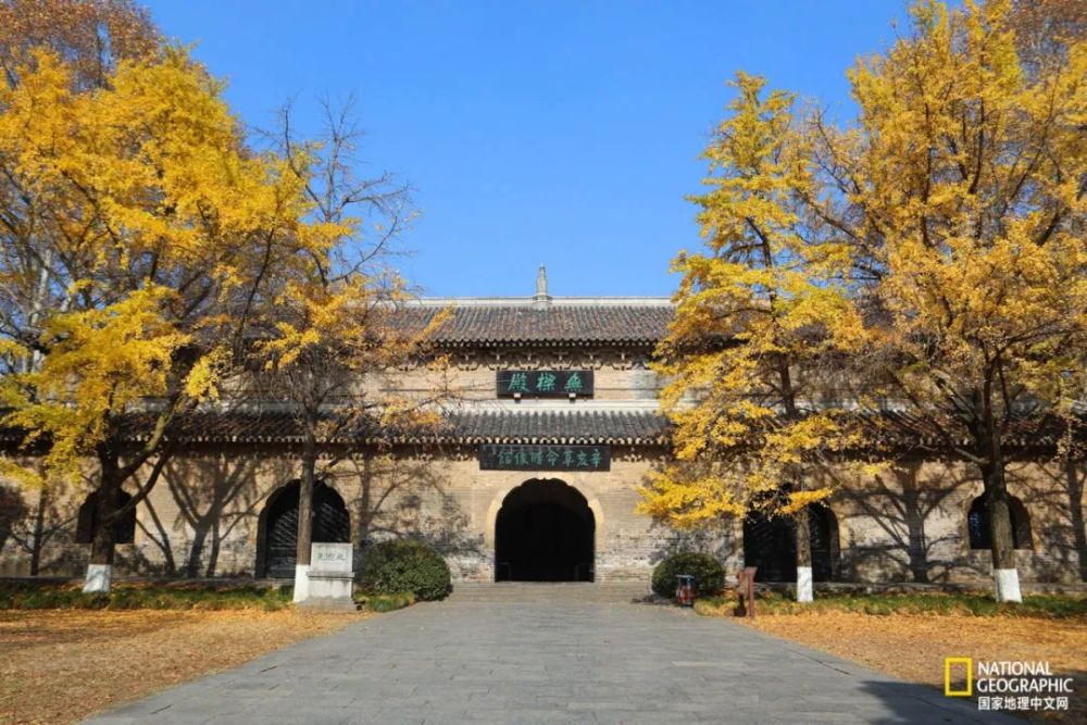 南京|秋天千万别去南京，否则就不想回去了