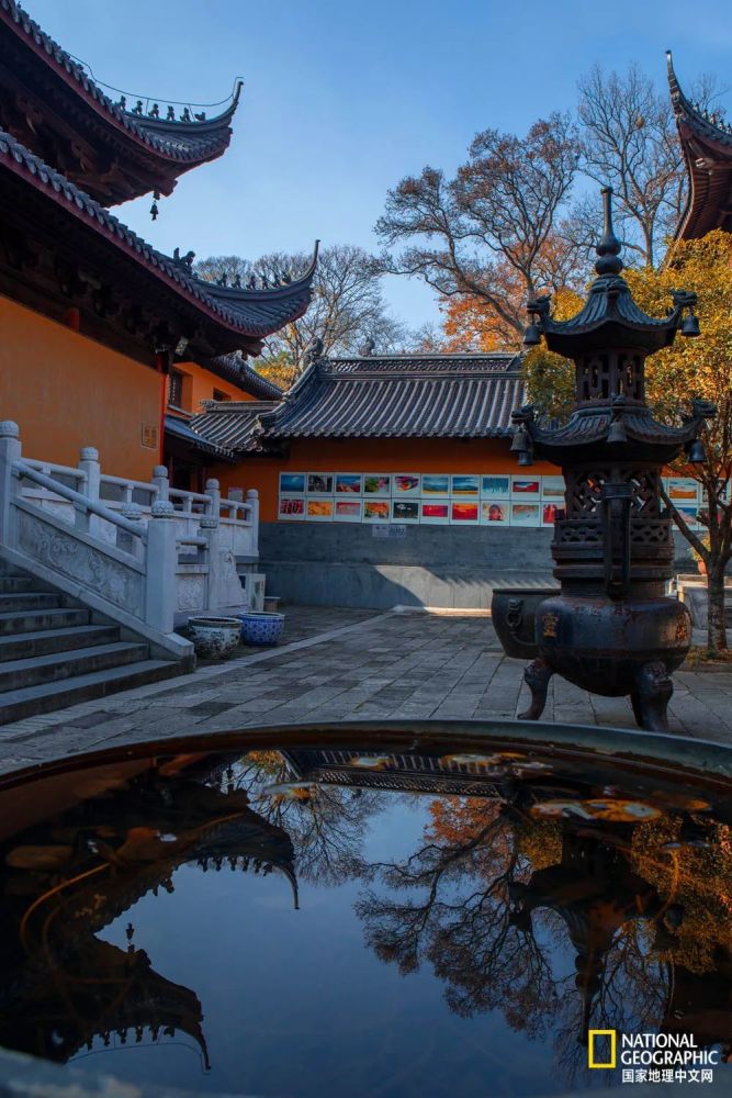 南京|秋天千万别去南京，否则就不想回去了