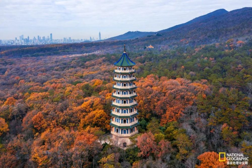 南京|秋天千万别去南京，否则就不想回去了