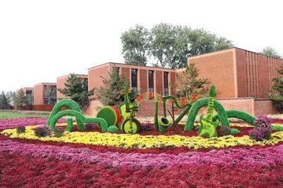 知名乐队|最后一天的音乐盛宴，不容错过！