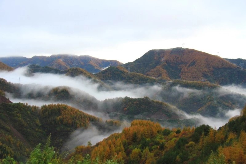 主要觀賞景點:中莊水庫—楊嶺村—王洛賓文化館—六盤山紅軍長征景區