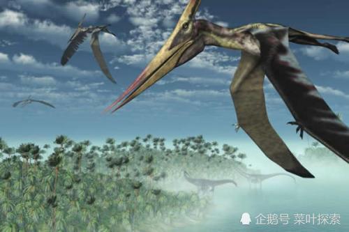 灭绝|很奇怪翼龙为什么会灭绝，翼龙会飞，怎么会逃脱不了灾难