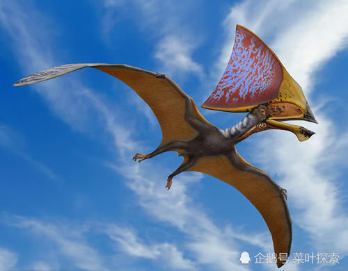 灭绝|很奇怪翼龙为什么会灭绝，翼龙会飞，怎么会逃脱不了灾难