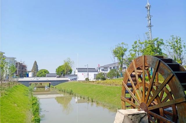 临港新片区这个村打造上海乡村振兴新强样板