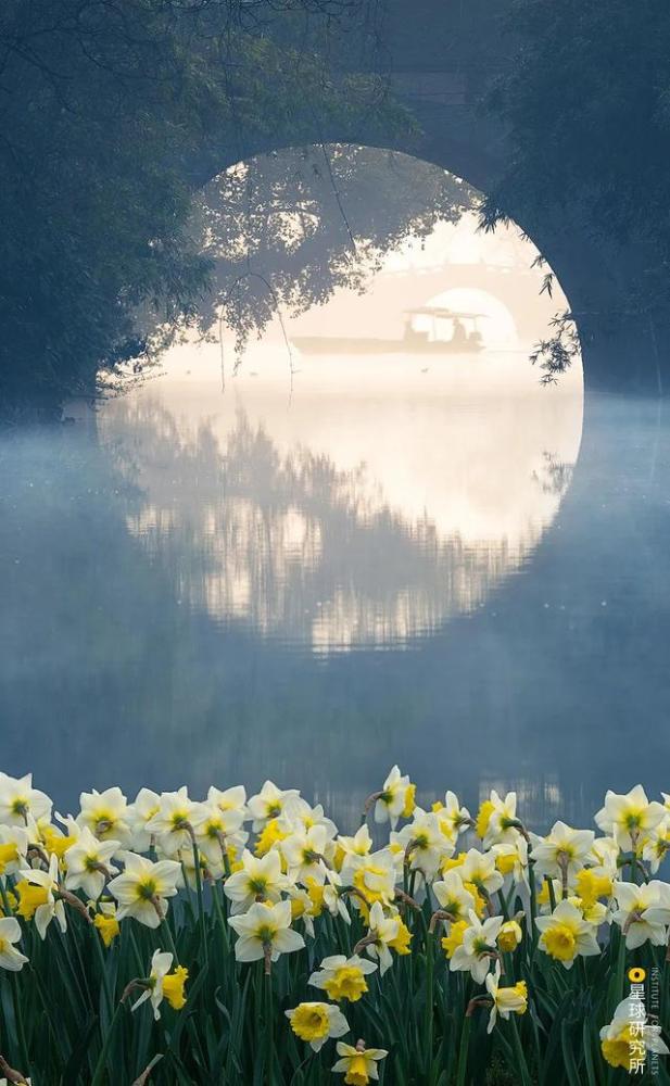 古桥|中国古桥，有多美？