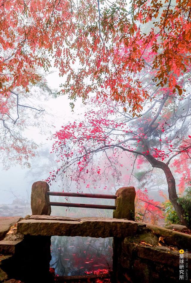 古桥|中国古桥，有多美？