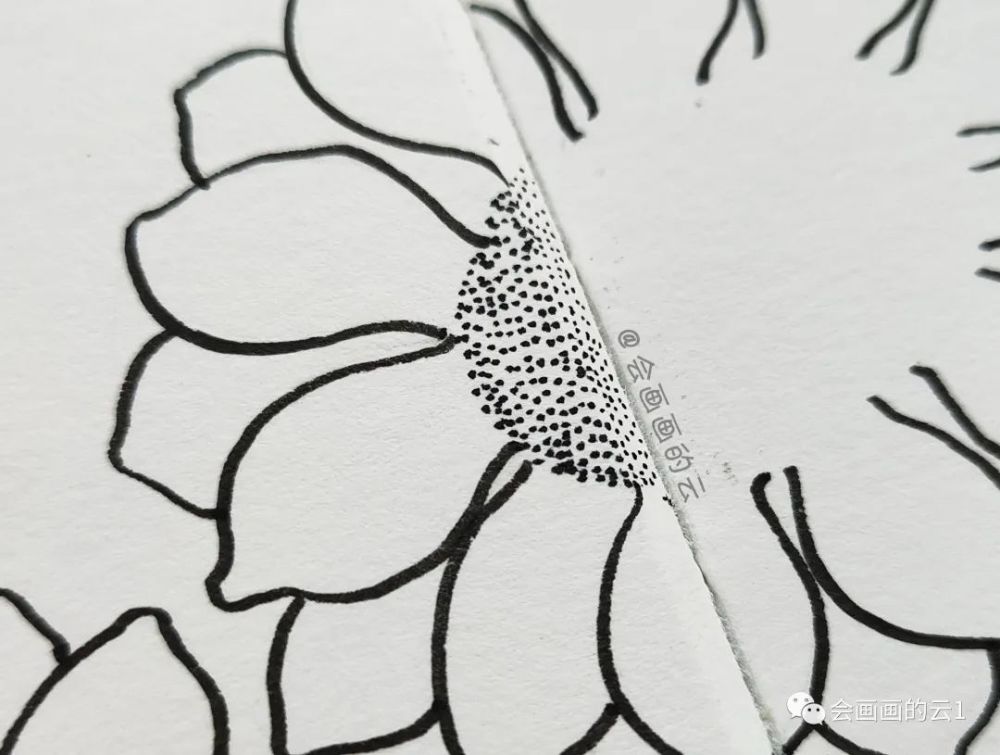 线描|线描插画步骤图解析，一半线描一半水彩，快乐的味道