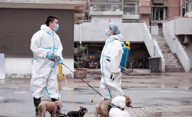 逆行者|《逆行者》《在一起》先后扑街，疯抢的抗议题材，观众为何不爱看