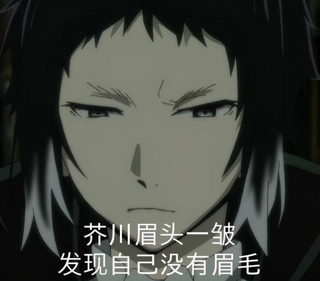 文豪野犬:关于那些圈内知名的梗,if线真的太甜了