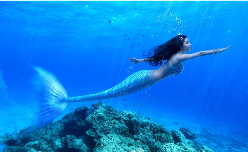 儒艮|神话中的“美人鱼”已经被找到？科学家表明，其实是这一种动物