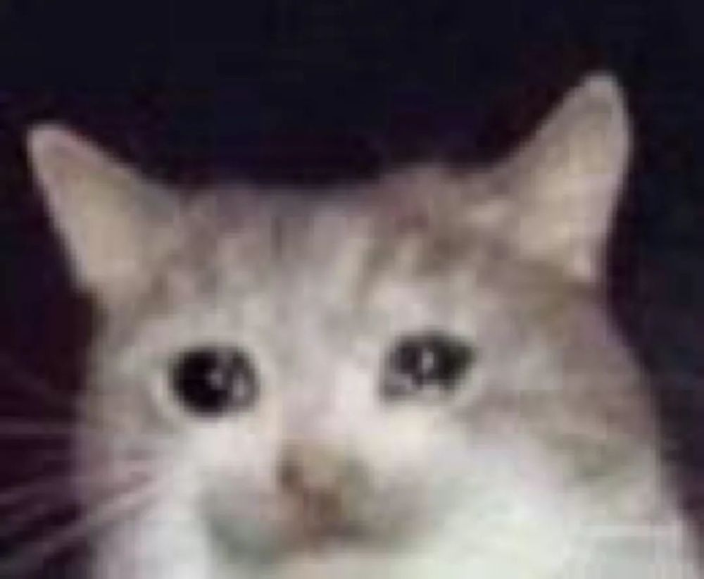 金晨|她终于傍上条粗腿了