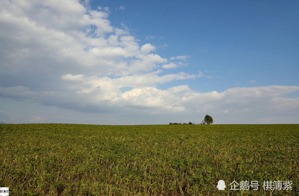农民|夏秋频繁降雨延缓花生收获，无假期的农民：最大的愿望是去北京