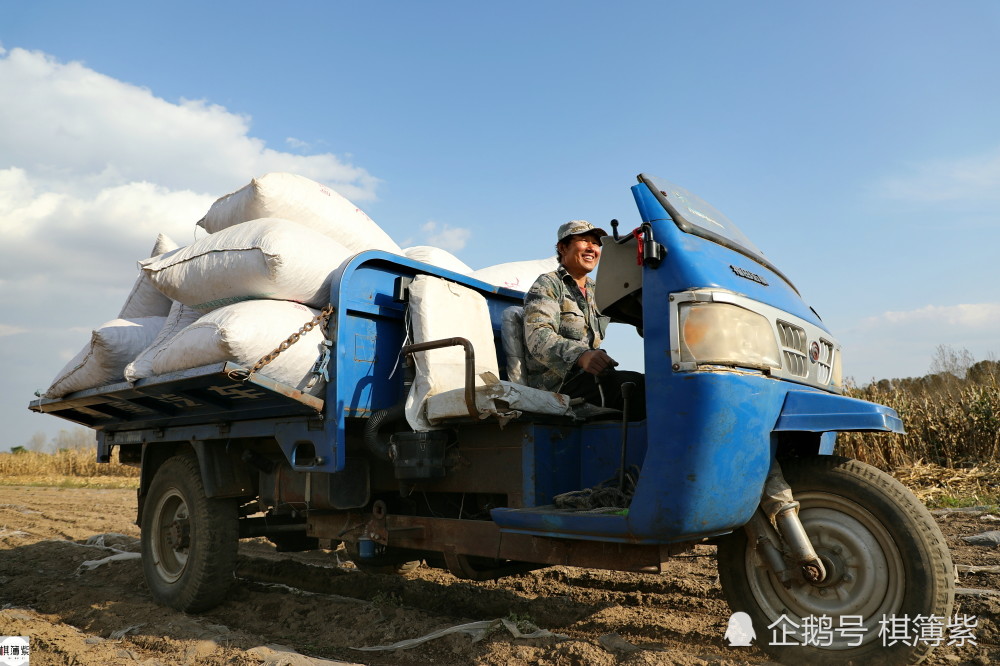 农民|夏秋频繁降雨延缓花生收获，无假期的农民：最大的愿望是去北京