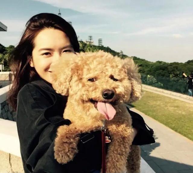 刘銮雄|刘銮雄反骨儿子帅而多金，偏爱灰姑娘，放弃10年的妻子和龙凤胎