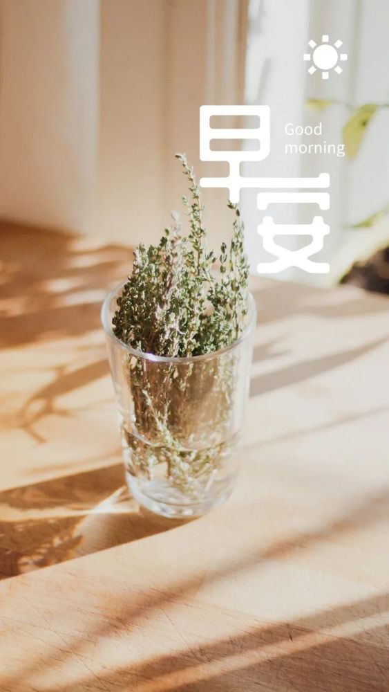 早安语录晚安心语图片句子 早安晚安语录朋友圈励志语录图片_腾讯新闻