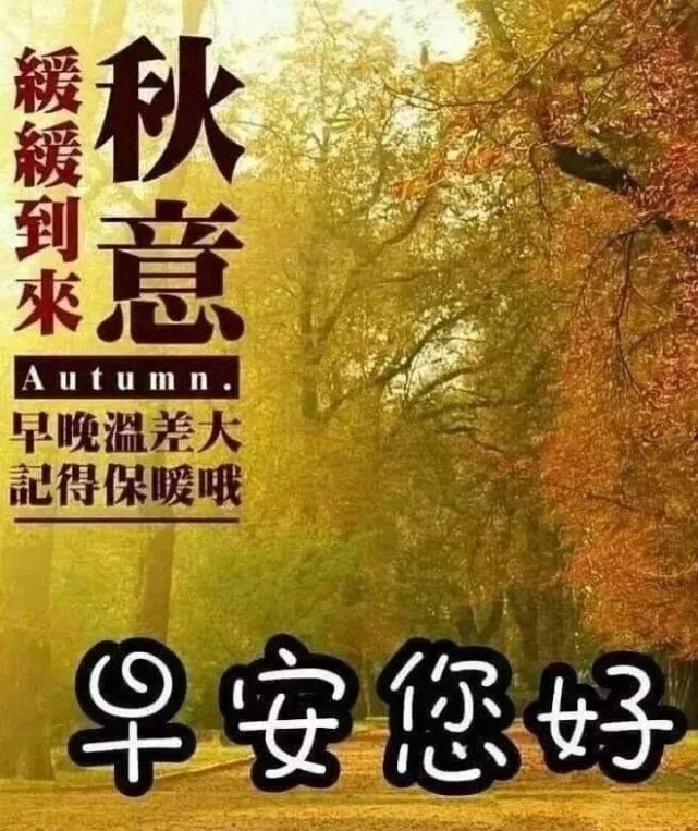 金秋十月最美的早上好问候语图片大全早晨好阳光祝福语图片表情合集
