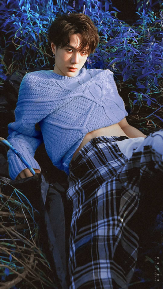 王一博语录一见钟情魏无羡日久生情蓝忘机陌上人如玉公子世无双