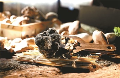 白松露|是什么造就了松露的神话？