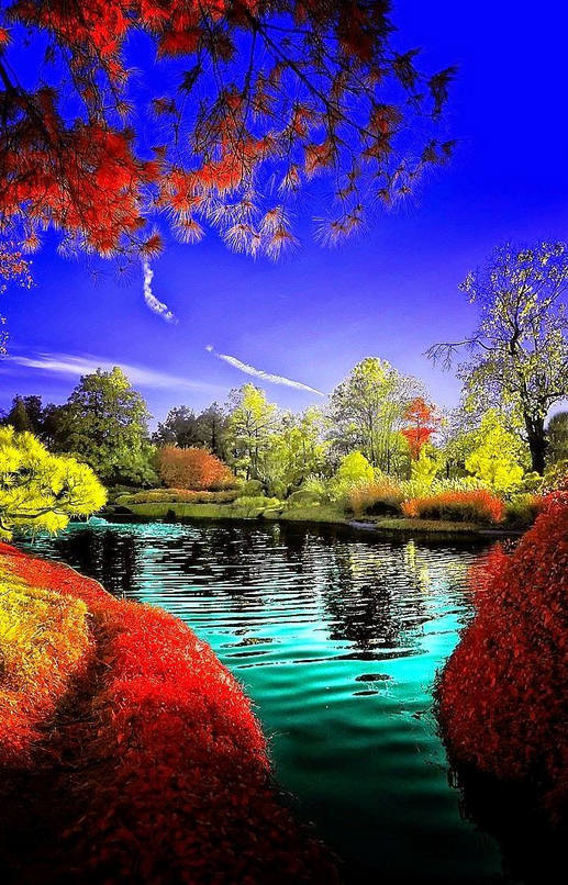 婚后儿媳不愿意跟婆婆二老同住算不算不孝顺