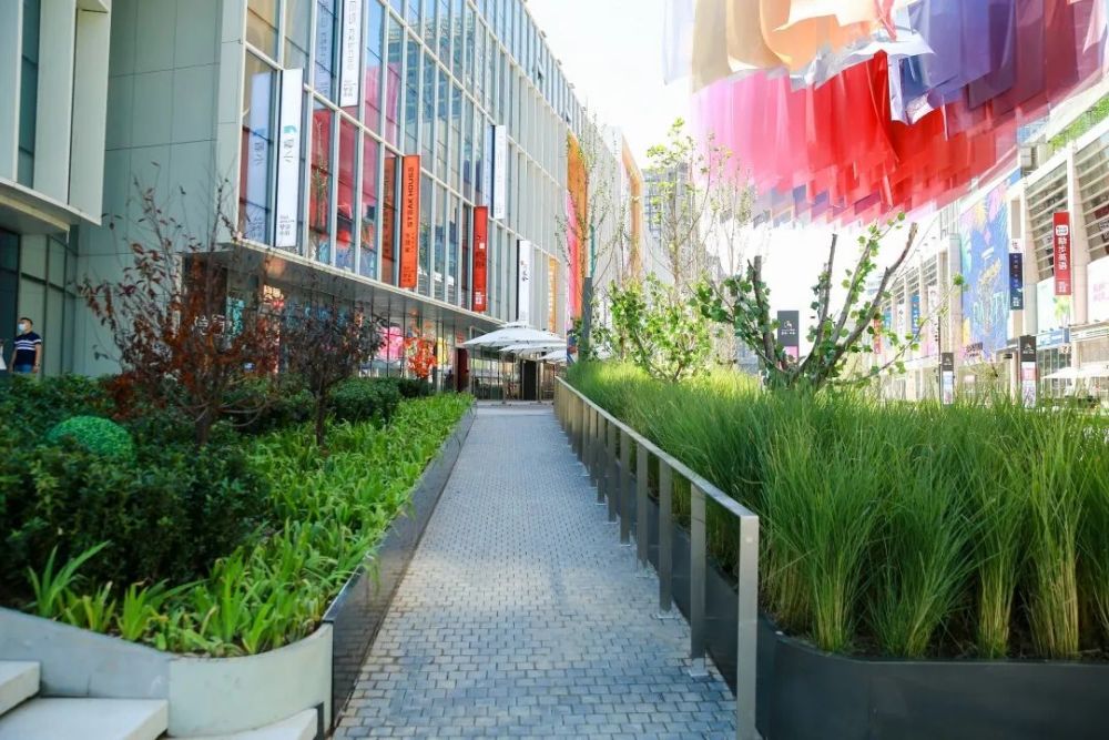 望京小街|十一假期超10万人次打卡！望京小街“腾笼换鸟”焕发新活力