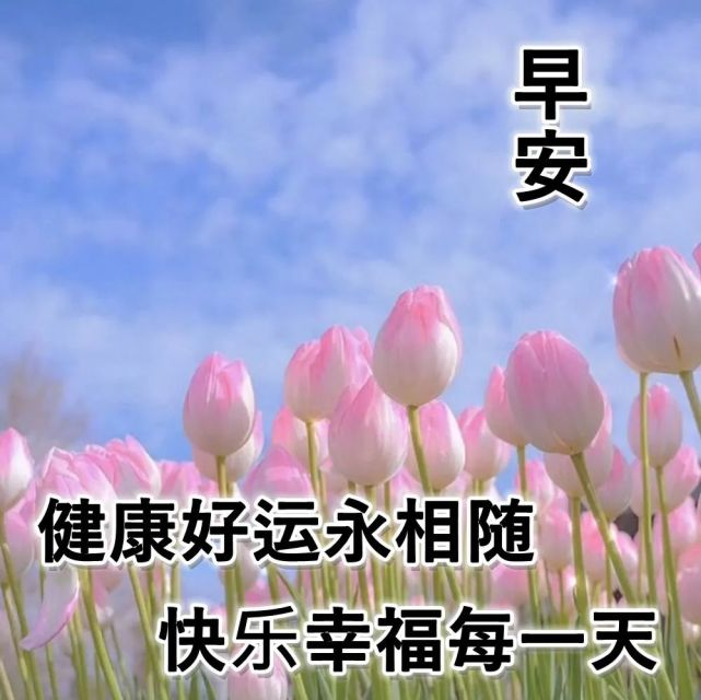 清晨最美的早安正能量優秀短句,讀完心情特好的早安說說