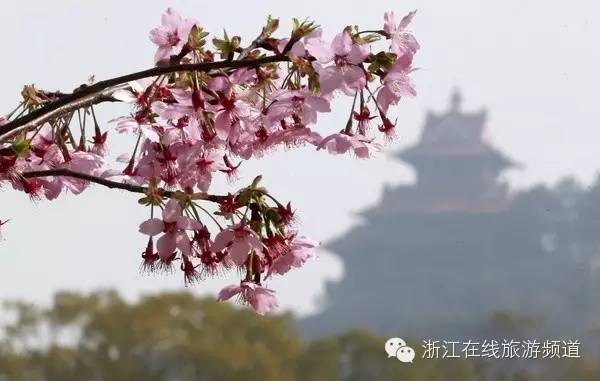 衢州|飞机票好便宜哦！从衢州出发，直飞武汉、北京、重庆等地，只要200元＋