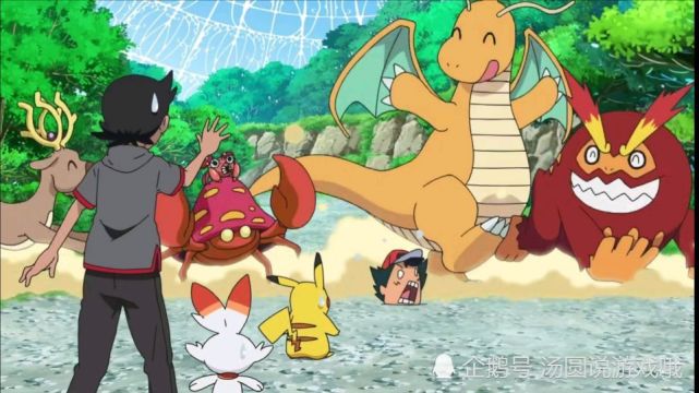 口袋妖怪 动画出场最多固拉多小弟 为何没人玩 答案原来是这样 口袋妖怪 固拉多 煤炭龟 动画 宝可梦 神奇宝贝