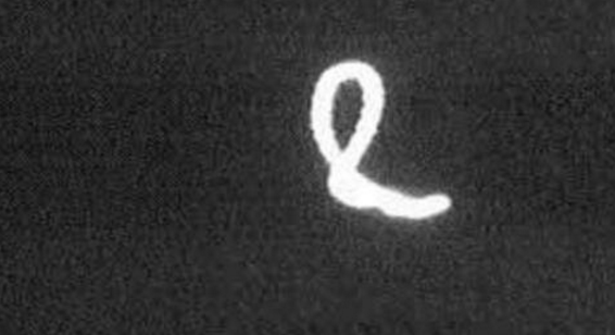 ufo|“天使的头发”究竟是什么，为何会在UFO现场出现，可惜至今无解