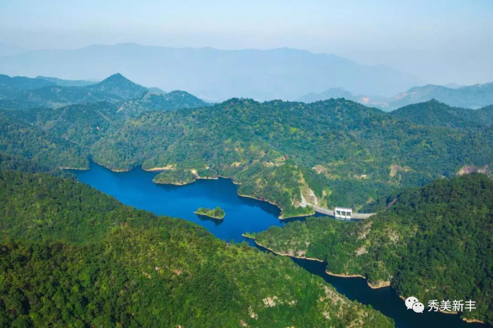 新丰县大力推进创森工作纪实林海绵延漫云髻丰江碧练缀新城