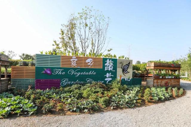 雅居乐雅城集团|“慢生活”田园度假受青睐，雅居乐陈卓林文旅新业态奏响丰收赞歌