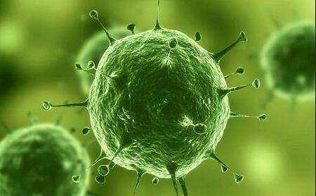 传染病|它肆虐人类了3000多年，史上唯一被消灭的传染病