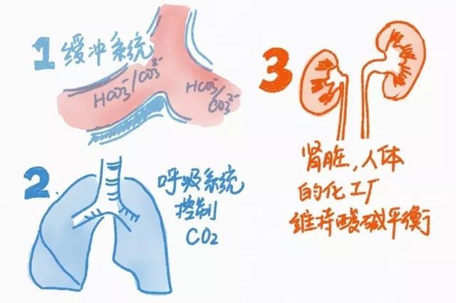 医生吃太多酸的东西会酸中毒吗你该这样回答