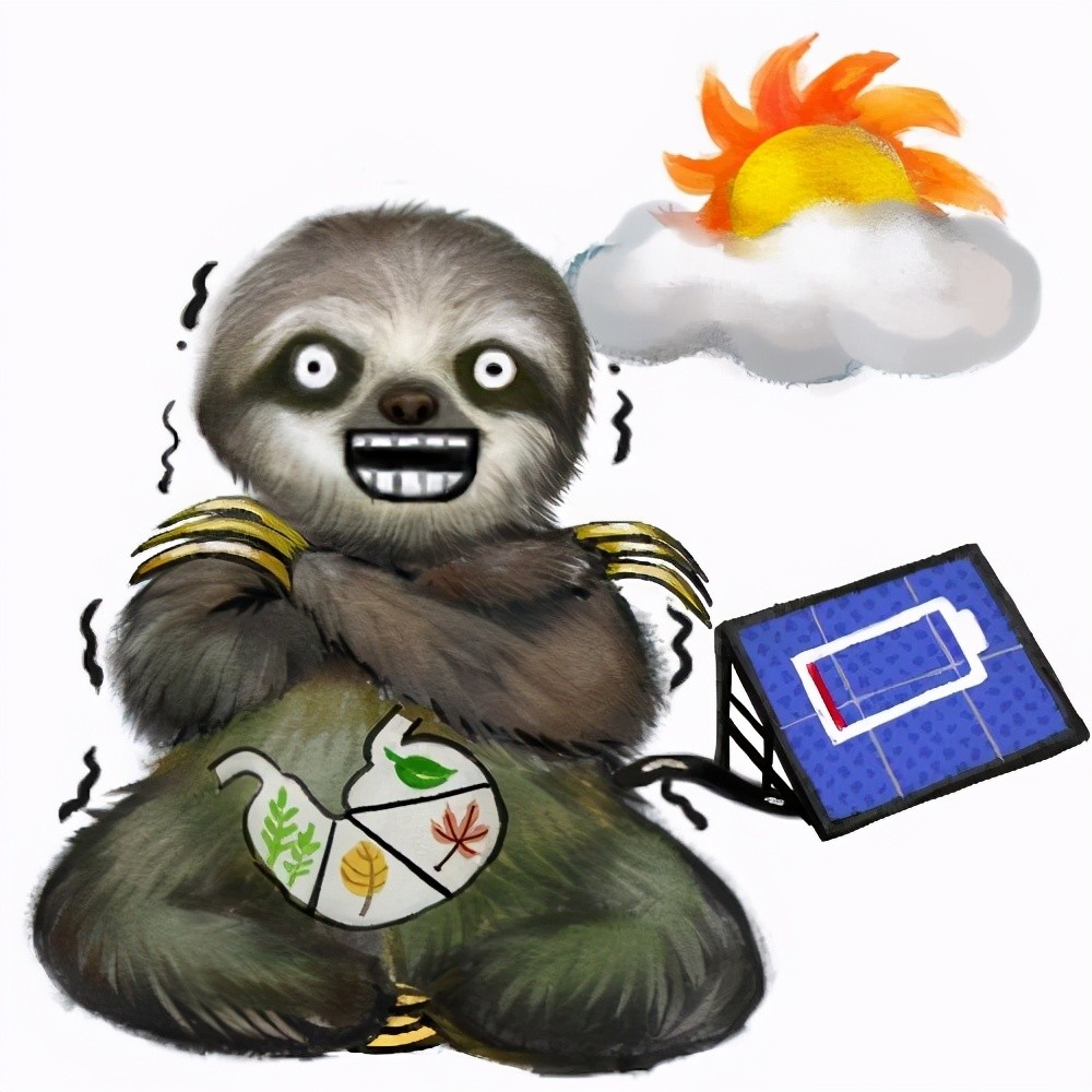 树懒|生树上、死树上，懒到极点的树懒，只有一件事是积极的：交配