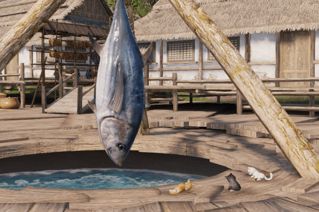 邻家的孩童十分喜爱观看 东越的东汀渔村竟然有对着巨大的咸鱼垂涎